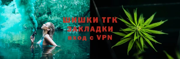 молекула духа Вязьма