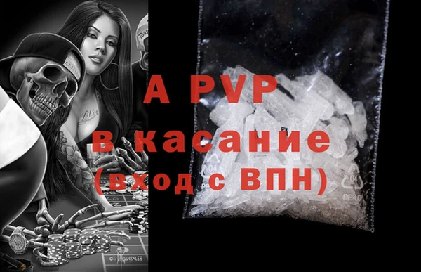 молекула духа Вязьма
