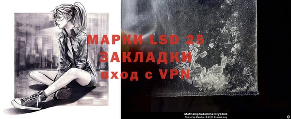 молекула духа Вязьма